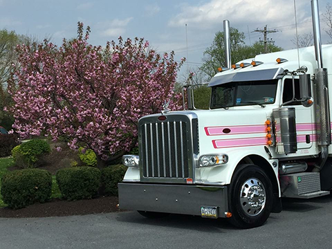 Truck 142 Peterbilt