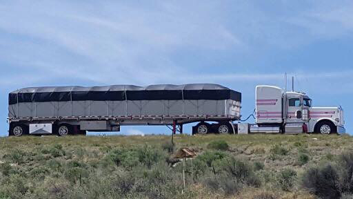 142 Peterbilt