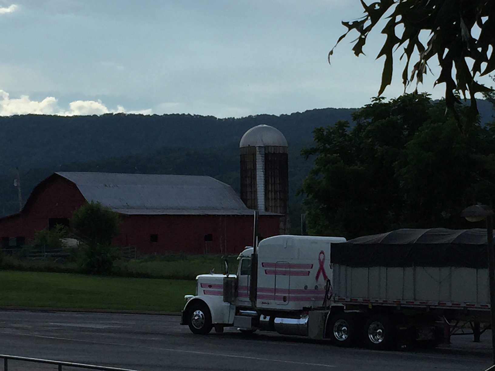 142 Peterbilt