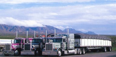 three trucks
